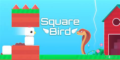 square bird poki|Square Bird ️ Play on CrazyGames.